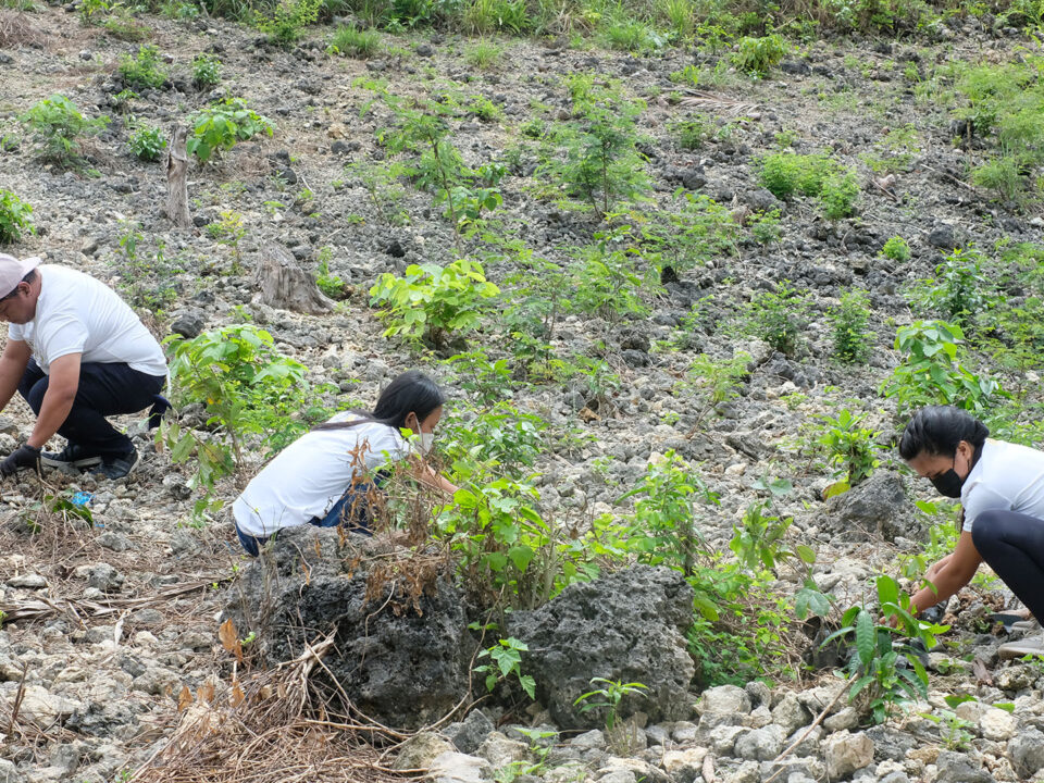Tree Planting at Dumanjug